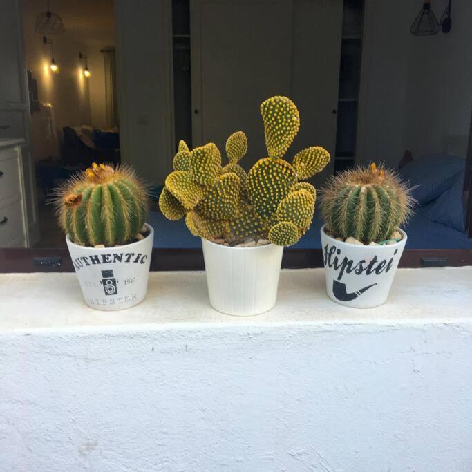 קוסטה טגוויסה Vivienda Vacacional Cactus מראה חיצוני תמונה